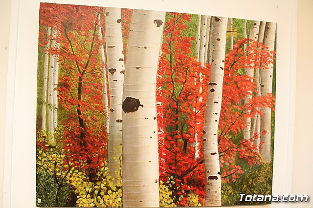 Exposicin de pintura: 