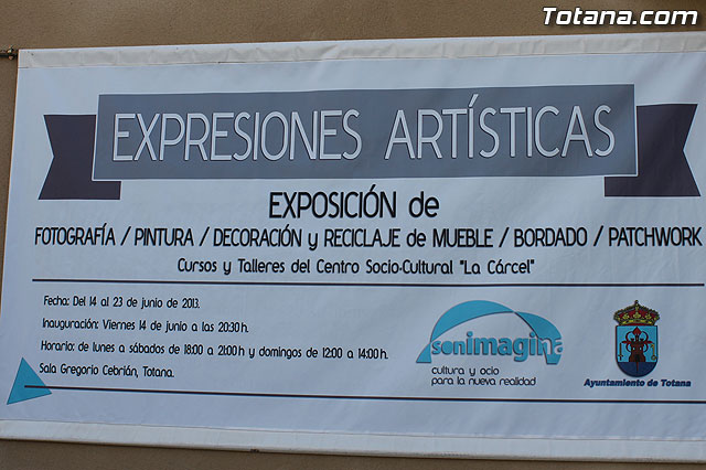 Expresiones artsticas - sonImagina 2013 - 1