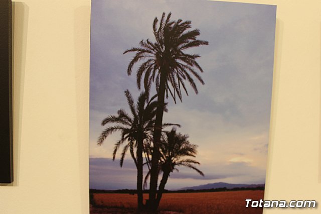 Expresiones artsticas - sonImagina 2013 - 6