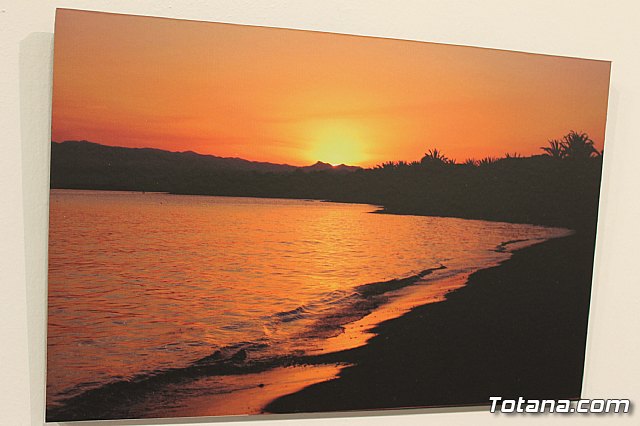 Expresiones artsticas - sonImagina 2013 - 15