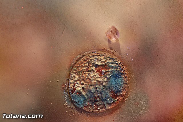 Trasiegobar acoge la exposicin 