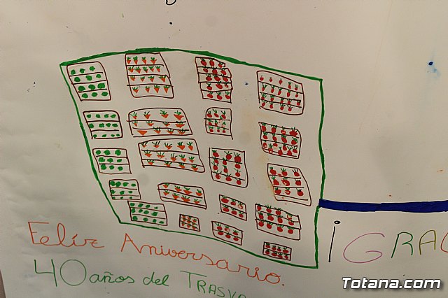 Exposicin murales 40 aniversario Comunidad de Regantes Totana - 14