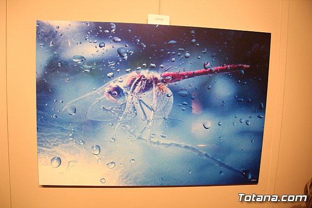 Inauguracin de la exposicin 