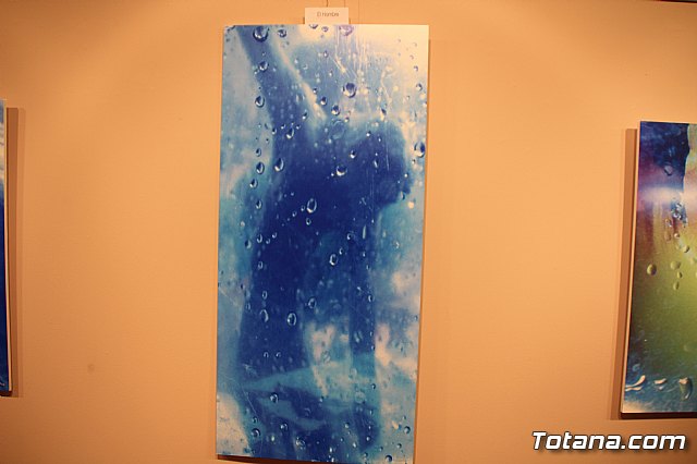 Inauguracin de la exposicin 