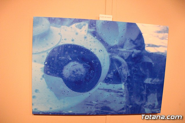 Inauguracin de la exposicin 