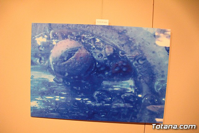 Inauguracin de la exposicin 