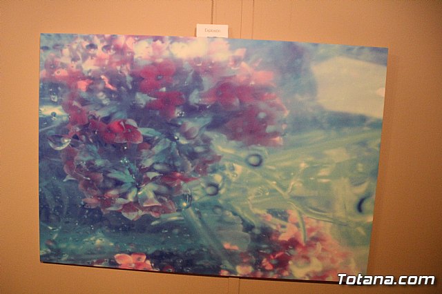 Inauguracin de la exposicin 