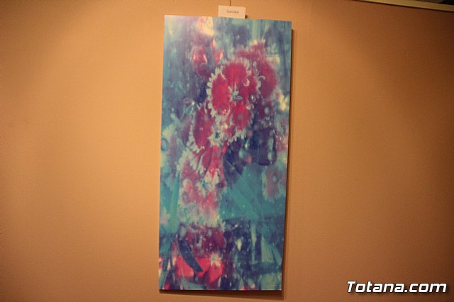 Inauguracin de la exposicin 