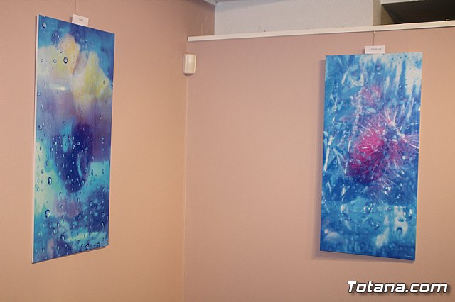 Inauguracin de la exposicin 