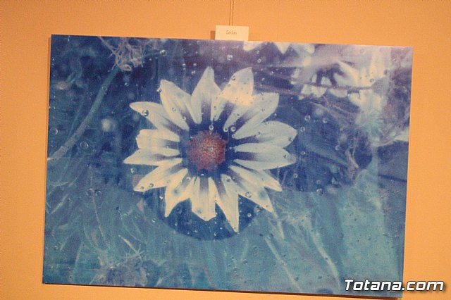 Inauguracin de la exposicin 