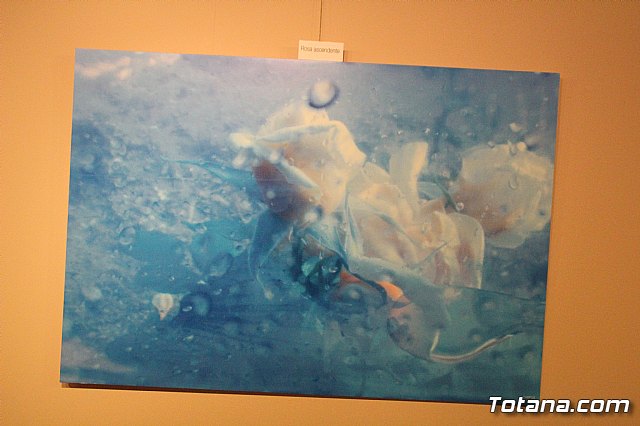 Inauguracin de la exposicin 