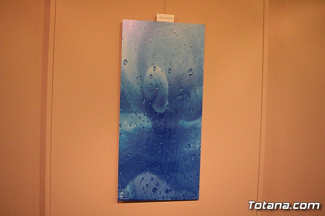 Inauguracin de la exposicin 