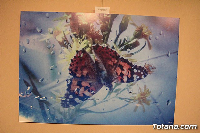 Inauguracin de la exposicin 