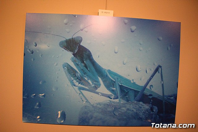 Inauguracin de la exposicin 