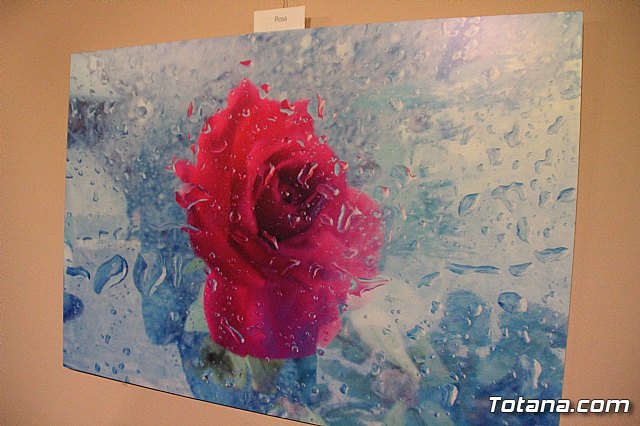 Inauguracin de la exposicin 