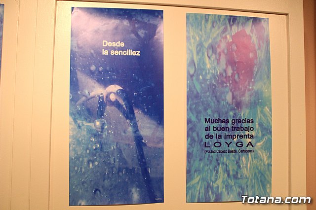 Inauguracin de la exposicin 