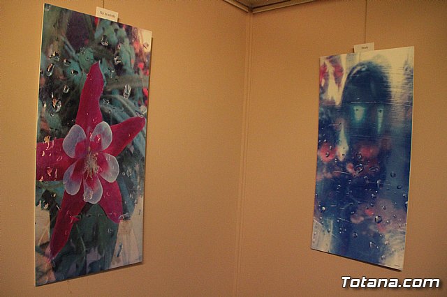 Inauguracin de la exposicin 