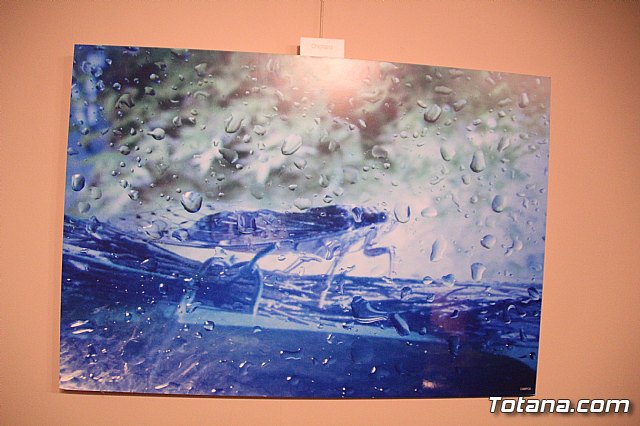 Inauguracin de la exposicin 