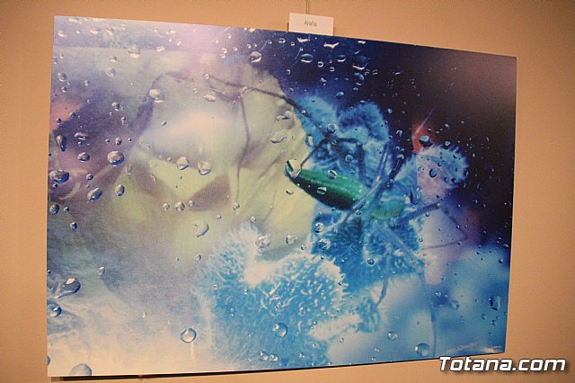 Inauguracin de la exposicin 