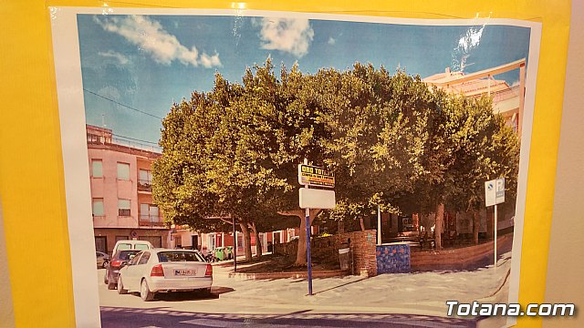 Exposicin Mirada Juvenil a un Centenario (1918-2018)  - 97