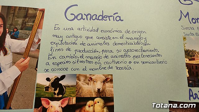 Exposicin Mirada Juvenil a un Centenario (1918-2018)  - 141