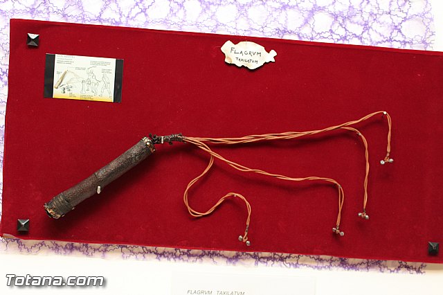 Exposicin 250 aniversario de 