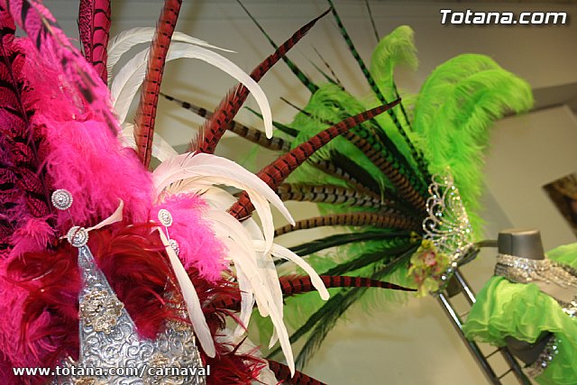 II ExpoCarnaval - Carnavales de Totana 2012 - 5