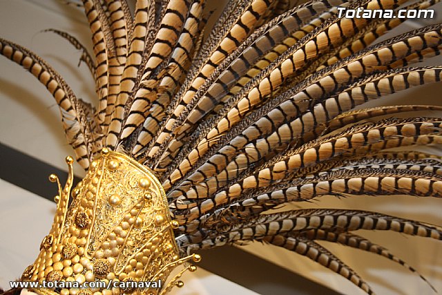 II ExpoCarnaval - Carnavales de Totana 2012 - 43