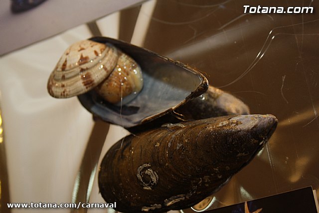 II ExpoCarnaval - Carnavales de Totana 2012 - 98