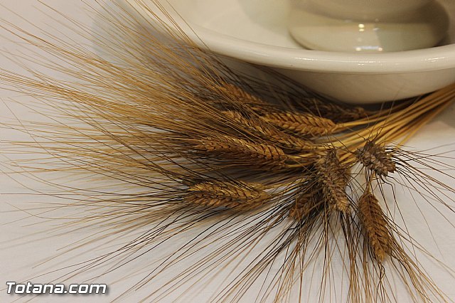 As ven los nios la Semana Santa - 2014 - 249