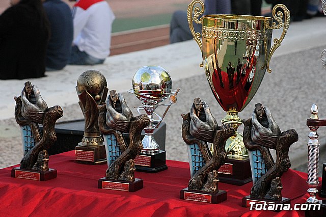 Finales de la Copa de ftbol aficionado 