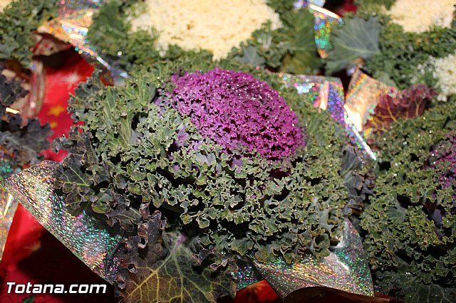 Feria de Navidad 2015 - Asociacin de Comerciantes de Totana - 231