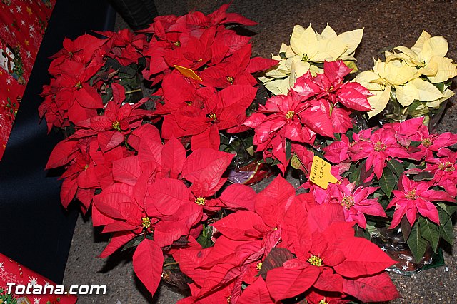 Feria de Navidad 2015 - Asociacin de Comerciantes de Totana - 244