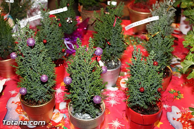 Feria de Navidad 2015 - Asociacin de Comerciantes de Totana - 250