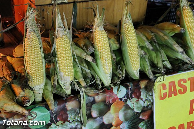 Feria de atracciones - Fiestas de Santa Eulalia 2016 - 6