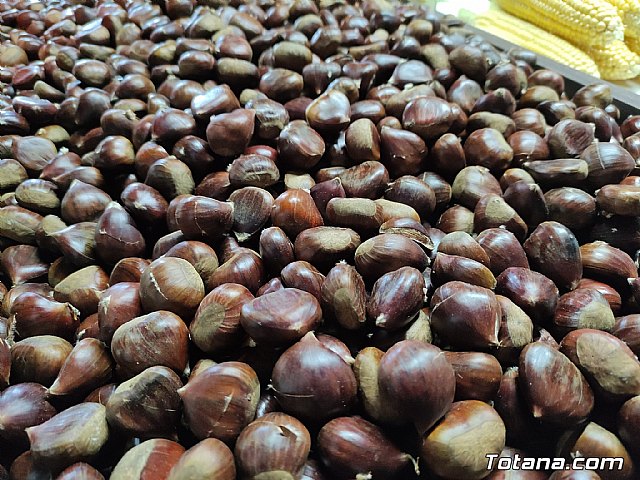 Feria de atracciones - Fiestas de Santa Eulalia 2021 - 64