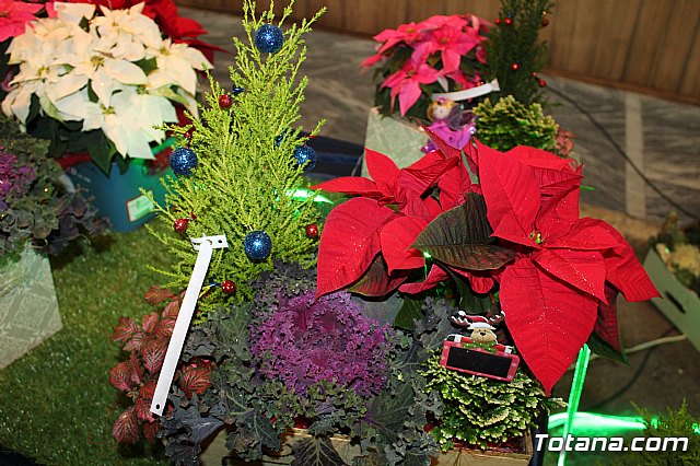 7 Feria de Navidad y el Regalo de Totana - 14