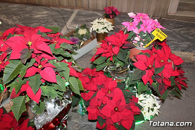 7 Feria de Navidad y el Regalo de Totana - 15