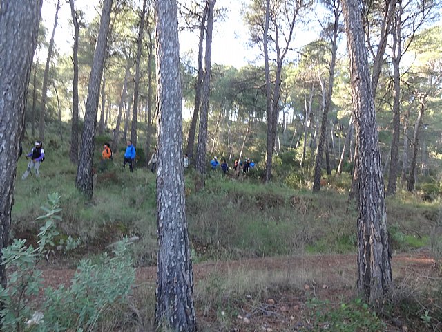 Ruta senderista La Fuente del Hilo - 3