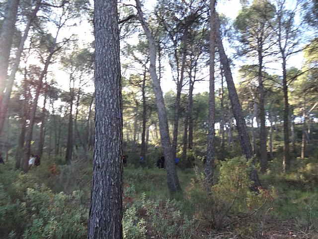 Ruta senderista La Fuente del Hilo - 4