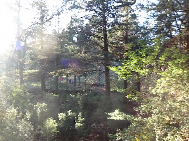 Ruta senderista La Fuente del Hilo - 7