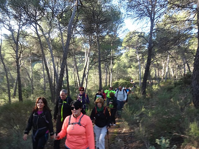 Ruta senderista La Fuente del Hilo - 8