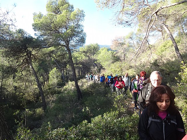 Ruta senderista La Fuente del Hilo - 9