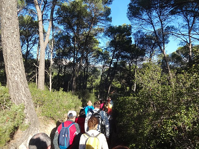 Ruta senderista La Fuente del Hilo - 14