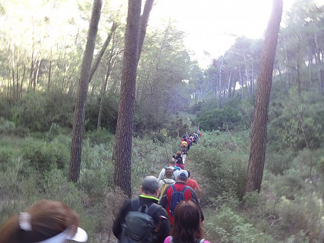 Ruta senderista La Fuente del Hilo - 18