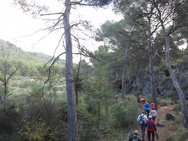 Ruta senderista La Fuente del Hilo - 20