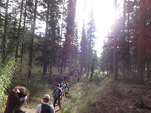 Ruta senderista La Fuente del Hilo - 32