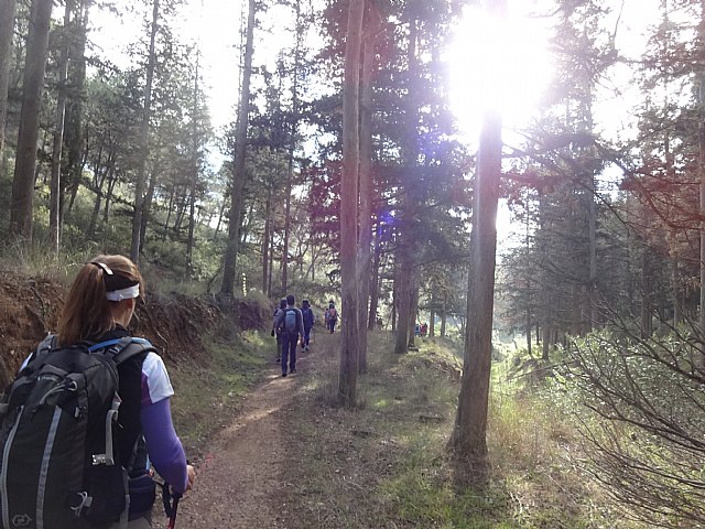 Ruta senderista La Fuente del Hilo - 33