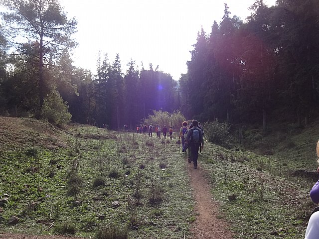 Ruta senderista La Fuente del Hilo - 37