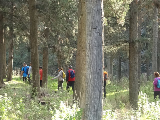 Ruta senderista La Fuente del Hilo - 38